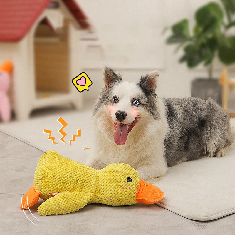 Squeaking Duck Toy