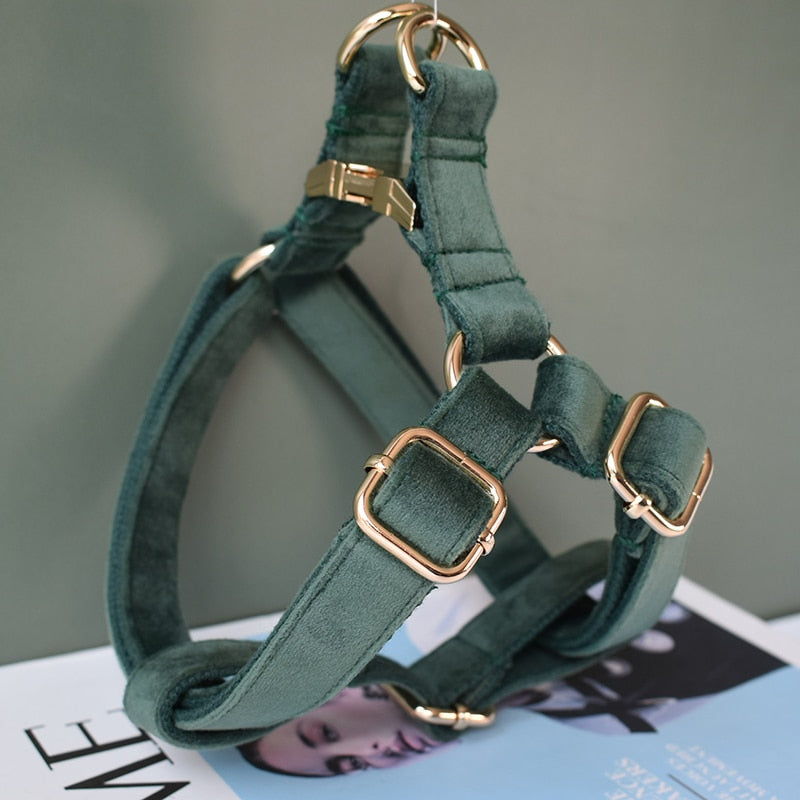 Rich Green Velvet Lead and Harness Set