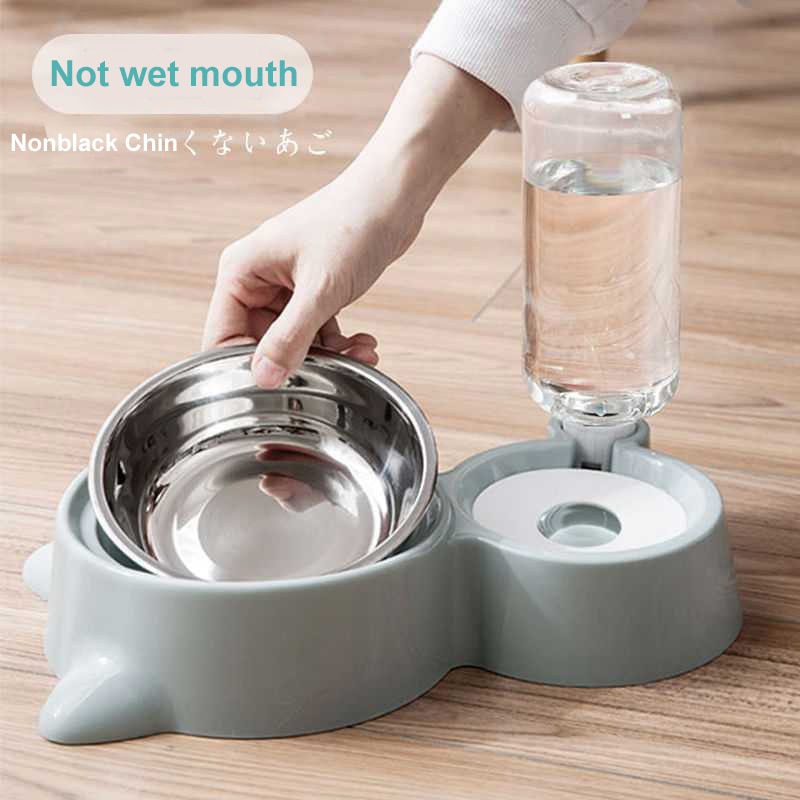 Blue Cat Bowl