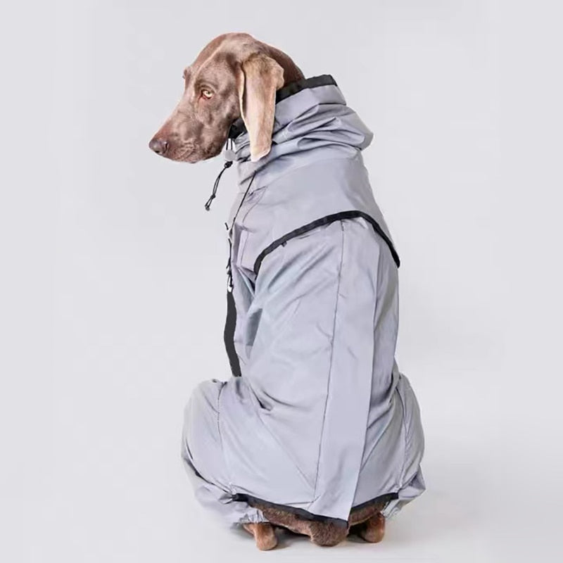 Pawsome Reflective Raincoat