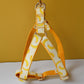 Banana Design Lead and Harness Set