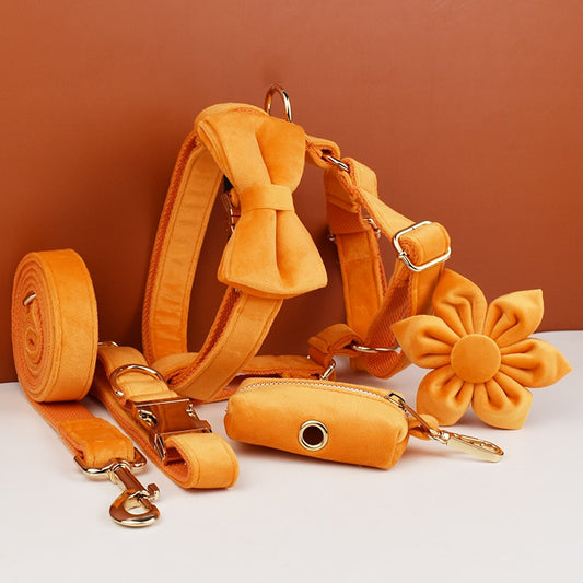 Orange Velvet Collection